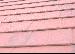 LOG CABINS: SINGLE GLAZED LOG CABINS and DOUBLE GLAZED LOG CABINS - Granular steel roof tiles
